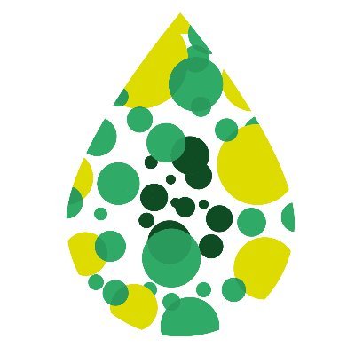 Black Liquor to Fuel (BL2F) is an @EU_H2020 🇪🇺 project that will produce drop-in #biofuels for #aviation ✈️ and #shipping 🚢