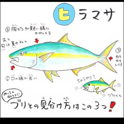 弦乃介 デカカンパ釣りたい エビって モエビでしょ 買わないで池に捕獲しに行きましょう あんなんすぐに100や0匹ぐらいとれますよ