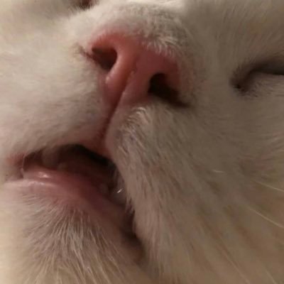 nineteenfortyfi's profile picture. 