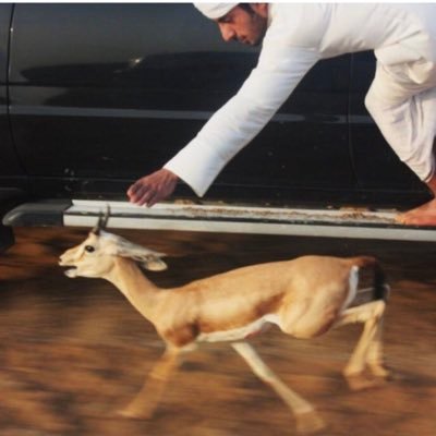 ربي اوصيك بـ أبي و أمي خيراً وعافيه وعمراً طويلاً على طاعتك ♥️