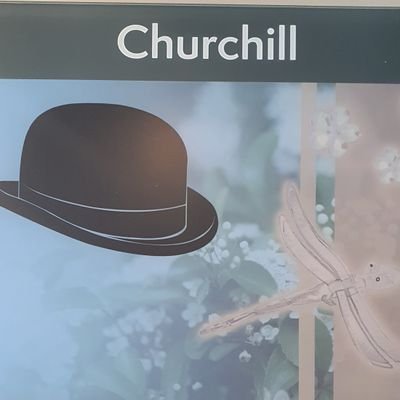 Churchill Ward is a 18 bed male acute ward at The Harbour.