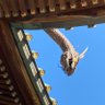 beshopbeshop's profile picture. 画家、SF愛、映画愛、特撮愛、英Rock愛、恵比寿様愛、御穂神社愛、熊野神社愛、龍神愛、ミステリー愛。古書愛。