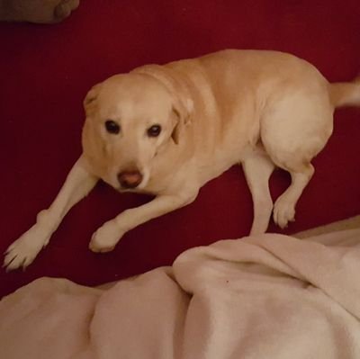Jake83462173's profile picture. 