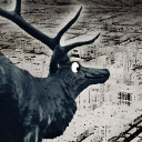 Mathes111's profile picture. Just another deer who dreams of being an elk. IN OUTER SPACE. || dev rants || music || other elk things