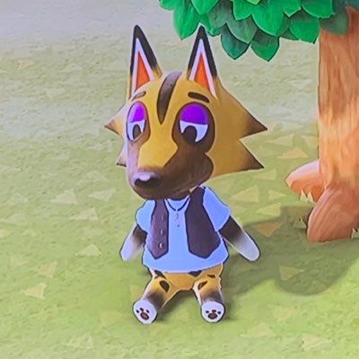 kyle from animal crossing ! (@CrossingKyle) / Twitter