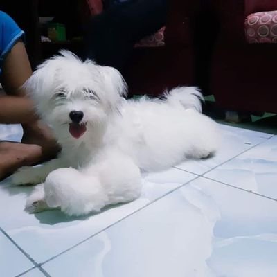 Febe16970600's profile picture. God is my hero my strengths my saviour my life