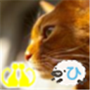 なにぶんTwitter初心者なもので、失礼があったらお許しください。趣味は自転車。ダイエットを兼ねて…。家族は妻と猫一匹。毎日まぁまぁ楽しく暮らしています。猫合体党員#476。中身は猫なんで昼間はねむいんです。昼寝部所属