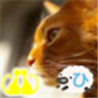 ICHIRO (@nabinyan) Twitter profile photo