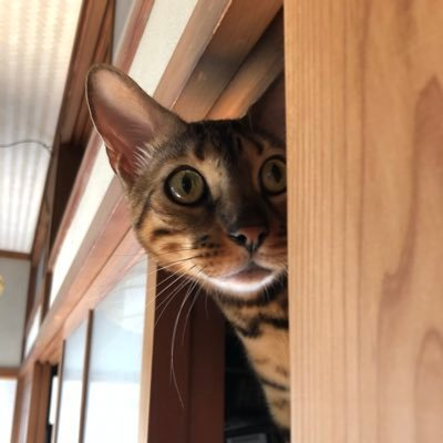 あさじさんのプロフィール画像