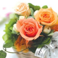 tototo (@pentoto) 's Twitter Profile Photo