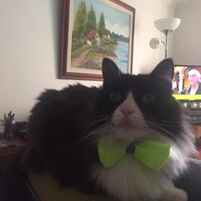 nubiarojas1's profile picture. 