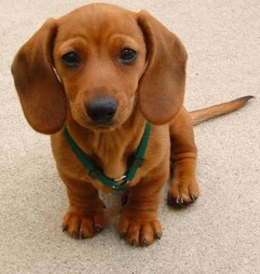 Xenlee3's profile picture. 