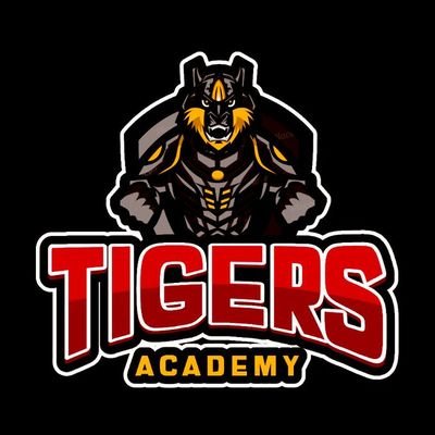 TIGERS ACADEMY