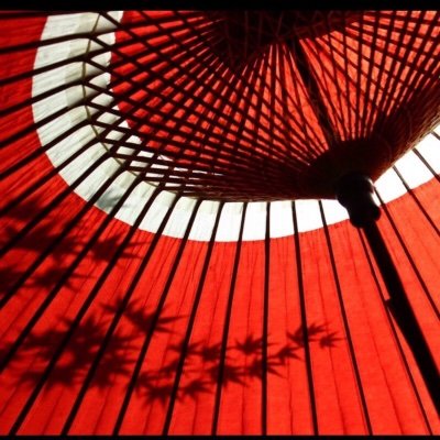 kuki0san's profile picture. DDこうきです