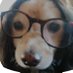iwai Shunji 岩井俊二 (@sindyeye) Twitter profile photo iwai Shunji 岩井俊二 (@sindyeye) Twitter profile photo