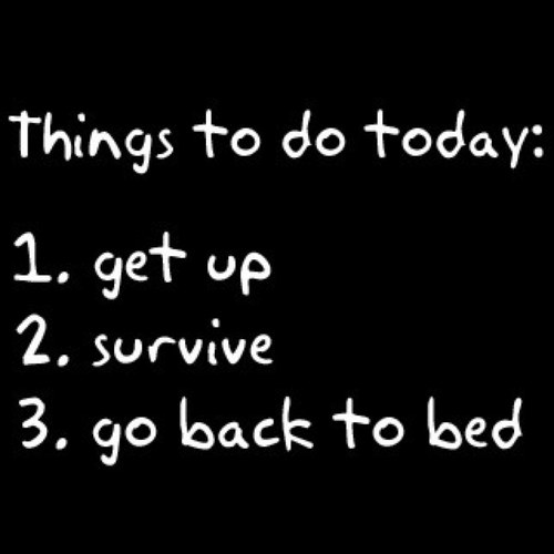 equal_o_not's profile picture. 