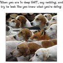 Gary Cordier - @GaryHBBH - Twitter