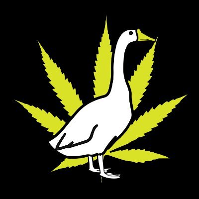 Dedicated to providing the highest quality CBD products at the best price.  Honk honk!