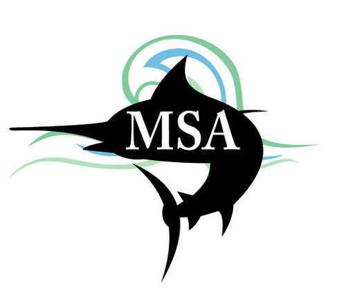 monumentswimacademy