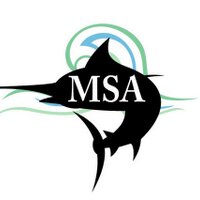 monumentswimacademy (@msaswim) 's Twitter Profile