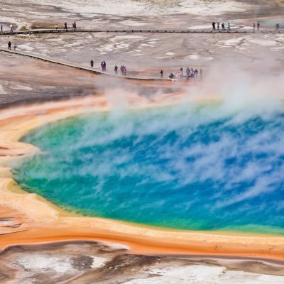 MemesStrike's profile picture. Memes for the Earth