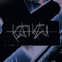 KÅIKÅI (@kaikainoise) 's Twitter Profile