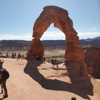 sokolofu (@sokolofu) Twitter profile photo