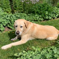 Wharf House Gardener (@wharfhousegrdnr) 's Twitter Profile Photo Wharf House Gardener (@wharfhousegrdnr) 's Twitter Profile Photo