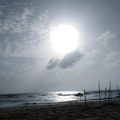 GeeKimani's profile picture. 