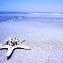 Sherri Weeks - @dragstergirl32 - Twitter