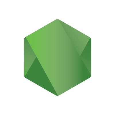 Node.js Profile