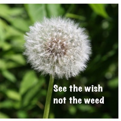 YourLife_2day's profile picture. Create the life you want.