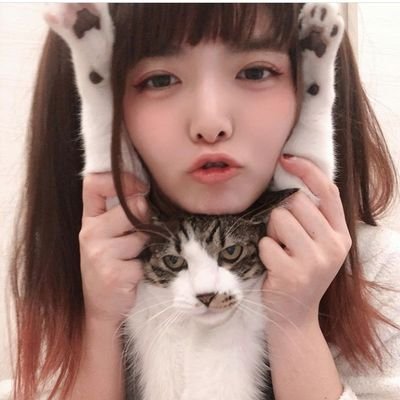 ପ₊˚ฅ idol grl — cats pfps for the sqaud 😼😼 ✧ ✧ ✧ ✧ ✧ ✧
