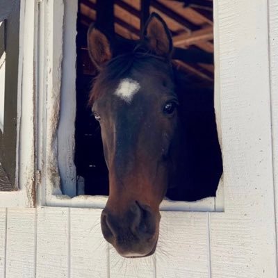 emmaFin73399352's profile picture. 