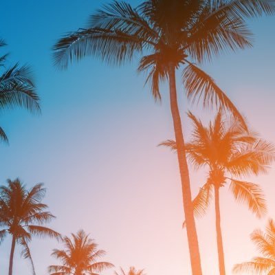 tropicalvibes7's profile picture. 