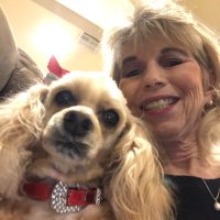 Linda Shade - @LindaShade1 Twitter Profile Photo