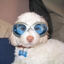 Mark Melendez - @circa93 - Twitter