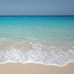 longdayc's profile picture. entrepreneur | reading, travel, mediterranean cooking