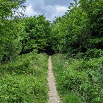 LeenerRob's profile picture. New on Twitter, just looking. interested in philosophy, faith and opportunities in life. and kitten videos! Ein bisschen Deutsch geht auch. Zwangsstörung.