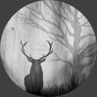 Ghada⚖️ (@_l25l_) 's Twitter Profile