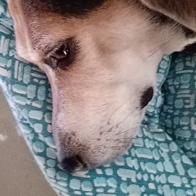 JairoPa32101163's profile picture. ups