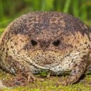 Dylan Pham - @DylanPh64365788 - Twitter