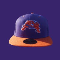 Salamanders Baseball (@salamanders_ccl) 's Twitter Profile