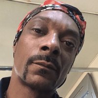Dogg Trades 🇺🇸 (@doggtrades) 's Twitter Profile