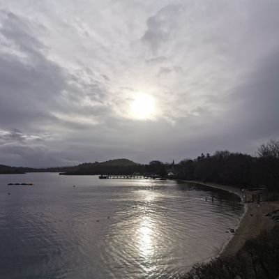 litlemonkey1's profile picture. 