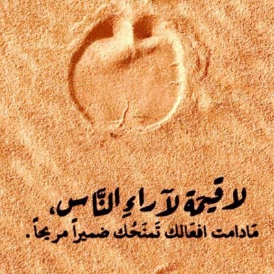 talal2i2's profile picture. 