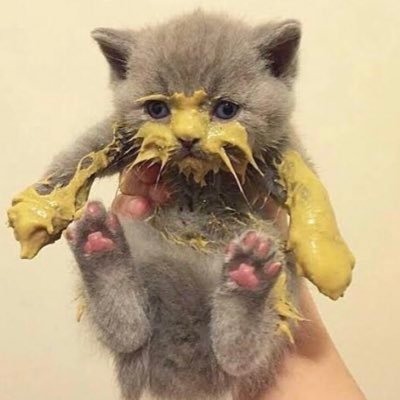 mox43861214's profile picture. 