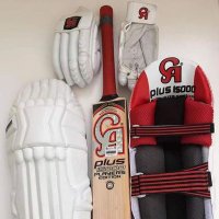 Expert Bats (@pro_gladiator) 's Twitter Profile
