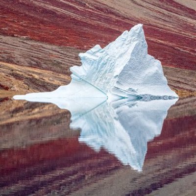 tjmisny's profile picture. execution dependent