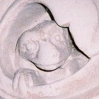 Freckenham Church (@freckenhamcofe) 's Twitter Profile